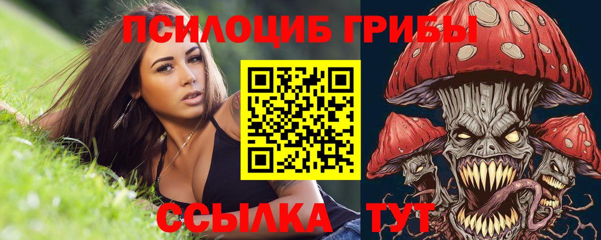 Псилоцибиновые грибы GOLDEN TEACHER Кушва