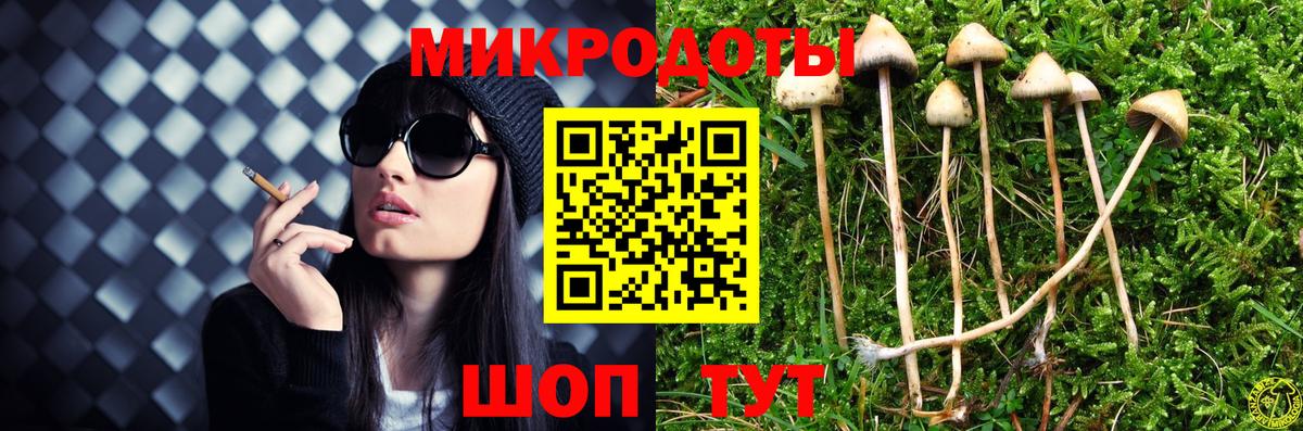 Галлюциногенные грибы прущие грибы  Галлюциногенные грибы мухоморы  Вход с VPN  Кушва 